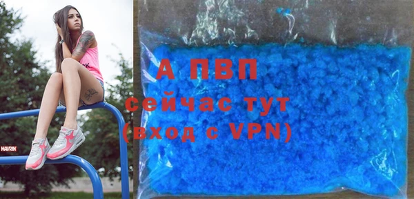 сатива Богданович