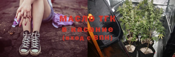 сатива Богданович