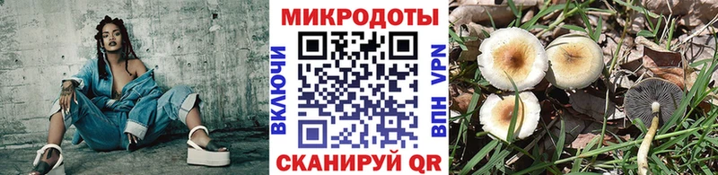 Псилоцибиновые грибы GOLDEN TEACHER  kraken   Котовск 